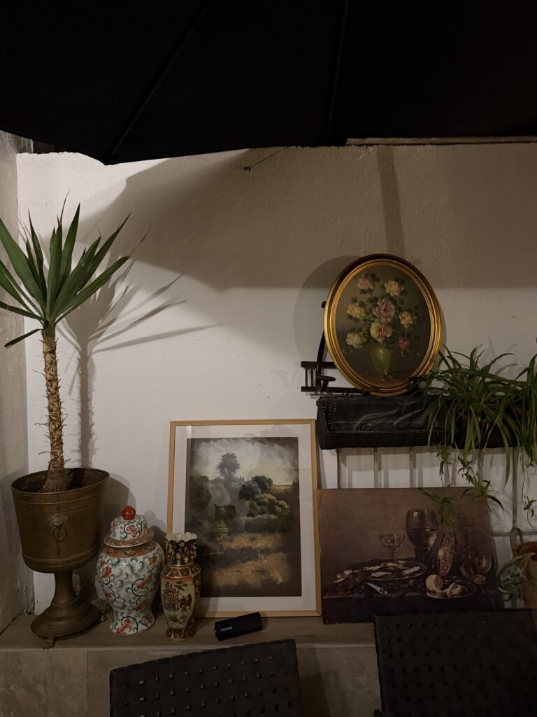 Pared con cuadros, palmera y jarrones en Usera44